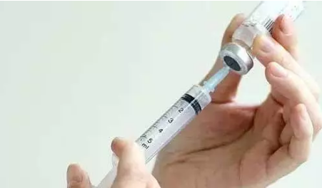 圆博康特约·技术】母猪怀孕前后到底该怎么打疫苗?