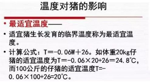 谁把握了猪舍的温度,谁就把握了猪群!