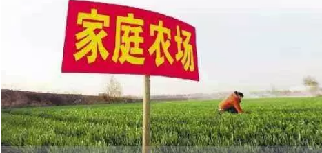 这几年,家庭农场的概念很火。不仅上面的文件里明确提到,下面各级也都把家庭农场看做发展农村经济,提高农民收入的法宝。