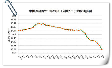 02月08日猪评：行情“一泻千里” 猪价暴跌到底谁的“锅”