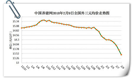 02月09日猪评：猪市一番“绿油油”春景 猪友齐唱凉凉度年？