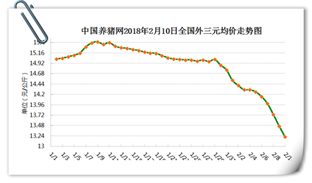 中国养猪网