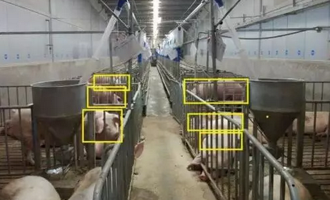 继交通、工业、航空等之后,阿里云再次将产业AI推进到了农业领域。众所周知,网易的丁磊此前就投入养猪事业,并且还取得了不小的成绩,近年来的乌镇科技大佬聚餐