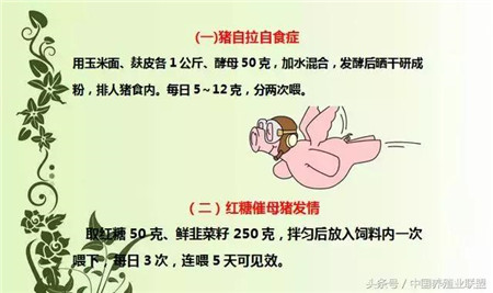 现在很多养殖户在养猪的时候会遇见很多的问题，生病了、拉肚子了、不下奶了、或者烂蹄子了等等，怎么解决呢？找兽医？一般人都是这样选择的。但是老找兽医也不是个办法，简单的治疗方法还是要知道的，小编整理了一些养猪小知识，希望能帮到大家！