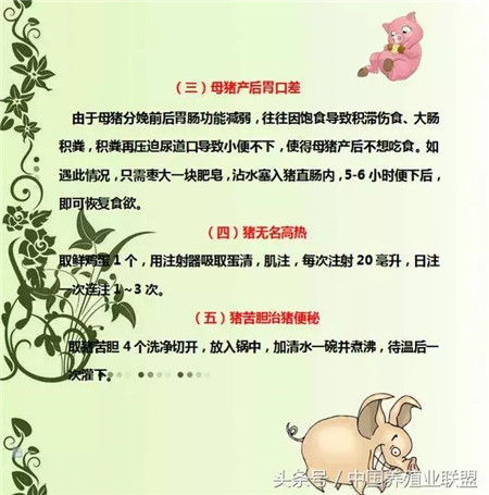 现在很多养殖户在养猪的时候会遇见很多的问题，生病了、拉肚子了、不下奶了、或者烂蹄子了等等，怎么解决呢？找兽医？一般人都是这样选择的。但是老找兽医也不是个办法，简单的治疗方法还是要知道的，小编整理了一些养猪小知识，希望能帮到大家！
