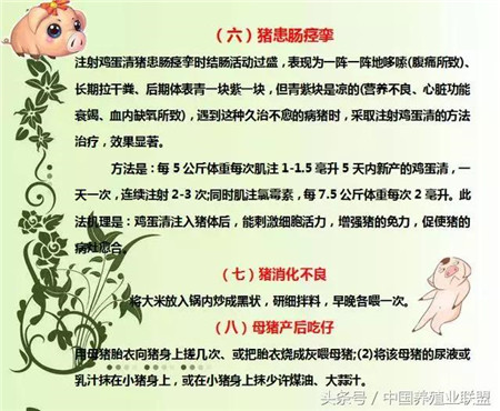 现在很多养殖户在养猪的时候会遇见很多的问题，生病了、拉肚子了、不下奶了、或者烂蹄子了等等，怎么解决呢？找兽医？一般人都是这样选择的。但是老找兽医也不是个办法，简单的治疗方法还是要知道的，小编整理了一些养猪小知识，希望能帮到大家！