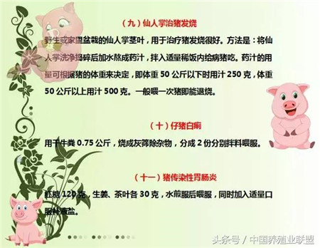 现在很多养殖户在养猪的时候会遇见很多的问题，生病了、拉肚子了、不下奶了、或者烂蹄子了等等，怎么解决呢？找兽医？一般人都是这样选择的。但是老找兽医也不是个办法，简单的治疗方法还是要知道的，小编整理了一些养猪小知识，希望能帮到大家！