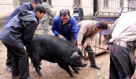 湖北日报全媒记者  祝华
