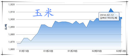 02月12日猪评：猪价要反弹了？北方反弹明显，南方跌势暂缓