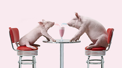  2017年，80后青年许冠积极响应我市精准扶贫的号召，先后与我市十条贫困村合作，建立种养基地，提供技术支持，用扶贫户种植的瓜果蔬菜来喂养猪