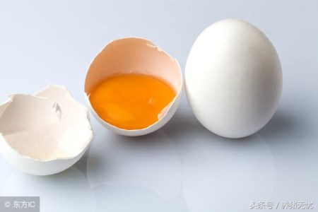 绝了！这些猪病用鸡蛋清就能治好!