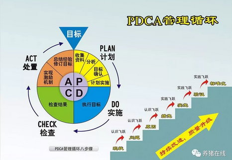 PDCA循环管理在猪场中的实际运用