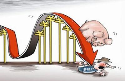 呱呱三农