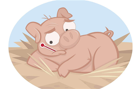 养猪户注意猪价并不是焦点,春季流感才是重中之重