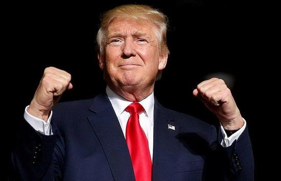 oilcn油讯、中国粮油信息网、鱼粉观察日记