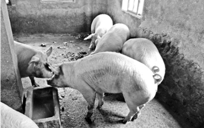 爱南京·南京晨报记者 卢斌