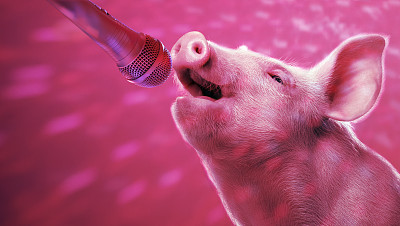 节日对猪价的刺激依然不大，受到持续跌价的影响猪场的惜售心理开始出现，虽说屠宰企业收购有较大压力