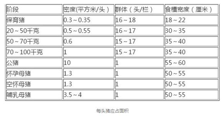 中国养猪网