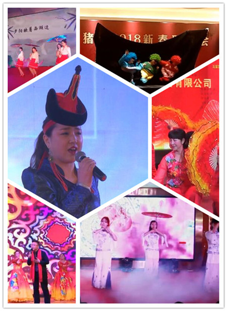 中国养猪网