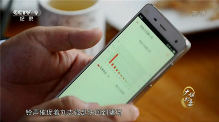 　　利用互联网养猪已成为主流  　　在山东省滨州市，四个养猪人在一个饭店里面，一起吃饭聊天，这不是一次普通的聚会，而是养猪人的派对，他们都在用一种新的方式养猪。这其中最抢眼的是刘志强，滨州荣昌猪场场长。手机响起的铃声催促着刘志强，赶快回到猪场。他得给将要生产的母猪洗澡，这是一个关键时刻。   　　刘志强场长说道：“一般就是提前10天，他会给我们一个提醒。去现场把这个猪都找出来。然后去赶到洗澡的地方给它洗澡，然后让它待产，防止病原微生物，从妊娠猪直接带到产房去。”  　　刘志强所用的是一款名叫“智农通”的手机软件，这款软件改变了刘志强的养猪模式。以前的养猪场全是凭借个人经验，现在刘志强可以借助在猪联网里面形成的数据和分析，轻松的知道自己什么时候需要对每头母猪做什么样的工作，在提高了刘志强工作效率的同时，猪场的生产效率也得到了大幅提高。   　　根据刘志强的养猪数据，猪联网会提供生产的安排建议，协助他降低生产成本，提高养殖效率。只要有电脑或手机。刘志强就能轻松掌握猪场信息。  　　在猪联网的另一端，信息平台给每头猪配发身份证和电子档案。从母猪、配种、怀孕、产仔，到仔猪长成肥猪出售，一头猪的一生变得有据可循，这些大数据将给未来的生猪养殖，带来新的市场指引和决策依据。  　　现在刘志强每天都要看一下猪价行情，来对未来一段时间的生产调整做出预测。利用庞大的猪数据生成的生猪流动地图，可以看到全国生猪流向和存栏量预测，帮助养殖户合理控制养殖规模。  　　刘志强在生猪出栏的前几天，通过猪联网的数据分析，去匹配合适的买家。猪联网为买家卖家提供交易平台，双方可以不见面就完成买卖。从养猪到卖猪，都可以在猪联网上完成。  　　以上内容，是3月3日CCTV-9播出的大型纪录片《大国根基》第五集“从田园到餐桌”中展示的一个现代猪场的养猪方式。《大国根基》大型纪录片是中宣部2015年“纪录中国”传播工程的项目之一，是中国首部全景式反映中国农业现代化进程的纪录片。  　　央视团队走进山东等地猪场，历时多天采访拍摄，真实记录了现代猪场是如何使用猪联网平台，提高生产效率，降低生产成本，借助互联网、大数据带来的便利，做到真正的智慧养猪。   　　“猪联网核心业务包括三个部分：第一是生猪管理，第二是生猪交易，第三是生猪金融。生猪管理的核心目的是利用互联网、物联网等技术，形成养猪大数据，结合现代生猪生产管理理念，帮助农户提升养猪的生产效率。” 猪联网运营公司农信互联的负责人作了详尽介绍。  　　数据的缺乏，是困扰现代养猪业最大的难题  　　生猪产业总市值高达1.5万亿，对大多数中国人来说，猪肉是他们最主要的肉食来源。中国生猪产业呈现小规模、大群体的生产格局，“一哄而起”，“一哄而散”，这样的起伏周期，又加剧了生猪生产和市场波动，这就是猪周期。  　　猪肉价格剧烈的涨跌，也影响着养猪业的平稳发展。猪肉价格飙升，玉米饲料的价格也会水涨船高，甚至影响到中国整体粮食价格的稳定。但是由于长期以来信息不对称、管理和生产效率低下、基础数据缺乏，面对上述困境，养猪企业多数还是束手无策。  　　说到底，影响养猪行业快速发展的核心还是数据的缺乏，从而使得养猪行业在管理、交易和金融方面效率整体低下。  　　一是管理数据的缺乏。由于现阶段国内多依靠人工进行养殖，工业化水平较低，导致数据基础薄弱，在猪场养殖和管理过程中，对数据没有认识到重要性，更多的是凭借经验来进行生产，导致我国PSY(每年每头母猪所能提供的断奶仔猪头数)水平比较低，与国外差距较大。PSY低，那么自然反应到消费端就是成本较高，抗风险能力差。单个猪场数据的缺乏，更进一步加剧了行业的盲目性，无法有效的做到猪场存栏结构调整，导致生猪生产数量不均衡。  　　二是交易数据的缺乏。现阶段养殖规模分散，猪场分布广、出栏信息不对称，导致大量的中间人存在，中间环节多，交易成本居高不下，并且交易完成之后，并不会产生任何的数据留存，对于价格发现、往期价格分析、猪周期研究均提供不了有效的数据支撑。  　　三是金融数据的缺乏。金融是建立在数据之上的，由于缺少交易和管理的数据积累，金融无从谈起，这也是为什么消费金融和其他供应链金融做得风生水起的时候，养猪产业一直迟迟无法获得金融支持的重要原因。  　　大数据养猪，让养猪更轻松，更有针对性   　　猪联网提升管理效率。现阶段越来越多的猪场开始拥抱物联网，通过物联网可以有效的降低在生产过程中数据录入的繁琐度和错误率，保证数据的准确，并且现阶段随着AI(人工智能)技术的进一步发展，对猪只数量识别、猪群个体识别有了新的解决方案，对于数据的积累会有所提升。  　　数据积累只是管理的基础，更多的在于数据汇总后的数据智能。在管理上，对单个猪场而言，通过数据分析，可以快速进行对标和分析，类似对猪场进行一次体检，找出猪场问题所在，与相同规模的猪场差异之处及原因，做出快速改进建议。  　　通过对猪病的数据分析，对疫情做到有效提示，做好防控。真正做到防重于治，减少兽药的使用，在降低养殖成本的同时，还可以做到猪肉品质的提升;分析不同类型的饲料，在何种条件下喂食，料肉比最低，给养殖户提供最优饲养方案的推荐;通过生产环节的全数据覆盖，真正形成猪在养殖过程中的可追溯，结合区块链技术，做到生产过程全程追溯。  　　猪联网让交易更简单。通过在交易过程中形成的数据，可以进行交易价格的分析，并做出未来一段时间的猪价预测，帮助猪场调整存栏结构，做到风险预防。真实的交易价格，也是形成生猪定价权的基础，促使生猪交易更加的标准化和规范化，使价格形成更加市场化。在生猪真实交易价格的基础上，可以衍生出生猪交易价格指数，这也是生猪期货的前提。  　　猪联网积累的各项数据为金融提供有效支撑。管理和交易形成的数据，是金融重要的依据。按照一定的风控模型，可以从中筛选出养猪综合成本低，效益好的猪场，让其充分享受金融所带来的便利，包括扩张规模所需要的养猪贷款、对冲风险所需要的养猪保险等。让数据给养猪人带来实际帮助同时，也可以使金融更加帮助实业发展。  　　互联网对于养猪业的改造，并不是最传统的农业转型升级的唯一体现，和世界上许多国家一样，中国的农业正在从传统走进现代，通过对农产品进行不同程度的加工，让农产品从田园到餐桌的过程增加更多的价值，是中国农业现代化的一个新的课题。基于此，越来越多的农业公司、互联网公司加入到这一进程当中来，快速推动产业升级。  　　猪联网的初衷，其本质意义上是想将更多与猪相关的资源联接起来，并借助最先进的物联网、人工智能、区块链等领先技术，形成一个猪的网络，充分发挥网络协同的优势，构建养猪业的生态圈，提升产业效率。  　　养的是猪，比的是数据  　　持续使用猪联网的猪场，可以有效的知道每一头母猪的状态。通过数据分析，知晓猪群现在的状况，未来几天需要干什么，并借助PC及移动端提醒，让猪场的工人可以提前做好相关工作准备，极大提升管理的精细度。通过提升母猪的管理颗粒度，降低非生产天数，进一步提升猪场PSY。也可以与饲喂设备连接，记录猪群的喂食情况和增重数据，分析猪场更合适的饲料套餐，降低饲料的浪费。  　　把猪联网里猪场的数据，通过数据清洗和加工，就能得到一个全国猪场存栏结构的样本，以此为基础进行出栏的预测，可以有效的指导未来几个月应该如何调整生产，像地图导航软件实时告诉路况信息一样，让每一个猪场都可以提前做出生产方面的判断。  　　借助物联网，让数据采集更精准、更简单。物联网的应用可以极大的节省人力，通过手机来控制猪场的生产设备，通过认证的设备，可以直接链接到猪联网，匹配后就可以使用，如果需要设备采购，可以在猪联网在线采购，极大降低了物联网的准入门槛。  　　猪联网把搜集到的数据都统一通过区块链技术处理，做到无法篡改，形成猪从出生到出售，全部过程的数据，真实记录猪的一生，通过扫描生成的追溯二维码，就可以查看这头猪的生长过程。  　　通过对猪大数据的挖掘和分析，来反过来给猪产业的生产和交易提供数据依据，提升效率，降低成本，平抑猪周期，探索价格发现功能，让猪产业从之前一个非常传统的产业，变成一个以数据智能为基础的新产业，这就是农信互联所讲的智慧养猪。  　　结语  　　从放开搞活农产品市场，到农产品电商大行其道，中国在不到40年的时间里，用新的技术革命和金融服务，塑造并推动着农产品的市场化进程。这一次，中国与世界站在了同一条起跑线上。不过，农业的互联网转型并不只是电子商务，在生产环节，改变同样在发生，这一系列变化的累积，终将对未来的中国农业生产格局产生巨大影响，农信互联的猪联网平台，正在让养猪业变得不一样。