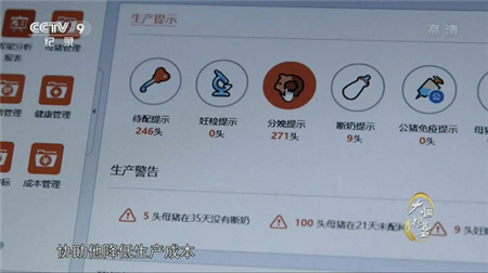 　　利用互联网养猪已成为主流  　　在山东省滨州市，四个养猪人在一个饭店里面，一起吃饭聊天，这不是一次普通的聚会，而是养猪人的派对，他们都在用一种新的方式养猪。这其中最抢眼的是刘志强，滨州荣昌猪场场长。手机响起的铃声催促着刘志强，赶快回到猪场。他得给将要生产的母猪洗澡，这是一个关键时刻。   　　刘志强场长说道：“一般就是提前10天，他会给我们一个提醒。去现场把这个猪都找出来。然后去赶到洗澡的地方给它洗澡，然后让它待产，防止病原微生物，从妊娠猪直接带到产房去。”  　　刘志强所用的是一款名叫“智农通”的手机软件，这款软件改变了刘志强的养猪模式。以前的养猪场全是凭借个人经验，现在刘志强可以借助在猪联网里面形成的数据和分析，轻松的知道自己什么时候需要对每头母猪做什么样的工作，在提高了刘志强工作效率的同时，猪场的生产效率也得到了大幅提高。   　　根据刘志强的养猪数据，猪联网会提供生产的安排建议，协助他降低生产成本，提高养殖效率。只要有电脑或手机。刘志强就能轻松掌握猪场信息。  　　在猪联网的另一端，信息平台给每头猪配发身份证和电子档案。从母猪、配种、怀孕、产仔，到仔猪长成肥猪出售，一头猪的一生变得有据可循，这些大数据将给未来的生猪养殖，带来新的市场指引和决策依据。  　　现在刘志强每天都要看一下猪价行情，来对未来一段时间的生产调整做出预测。利用庞大的猪数据生成的生猪流动地图，可以看到全国生猪流向和存栏量预测，帮助养殖户合理控制养殖规模。  　　刘志强在生猪出栏的前几天，通过猪联网的数据分析，去匹配合适的买家。猪联网为买家卖家提供交易平台，双方可以不见面就完成买卖。从养猪到卖猪，都可以在猪联网上完成。  　　以上内容，是3月3日CCTV-9播出的大型纪录片《大国根基》第五集“从田园到餐桌”中展示的一个现代猪场的养猪方式。《大国根基》大型纪录片是中宣部2015年“纪录中国”传播工程的项目之一，是中国首部全景式反映中国农业现代化进程的纪录片。  　　央视团队走进山东等地猪场，历时多天采访拍摄，真实记录了现代猪场是如何使用猪联网平台，提高生产效率，降低生产成本，借助互联网、大数据带来的便利，做到真正的智慧养猪。   　　“猪联网核心业务包括三个部分：第一是生猪管理，第二是生猪交易，第三是生猪金融。生猪管理的核心目的是利用互联网、物联网等技术，形成养猪大数据，结合现代生猪生产管理理念，帮助农户提升养猪的生产效率。” 猪联网运营公司农信互联的负责人作了详尽介绍。  　　数据的缺乏，是困扰现代养猪业最大的难题  　　生猪产业总市值高达1.5万亿，对大多数中国人来说，猪肉是他们最主要的肉食来源。中国生猪产业呈现小规模、大群体的生产格局，“一哄而起”，“一哄而散”，这样的起伏周期，又加剧了生猪生产和市场波动，这就是猪周期。  　　猪肉价格剧烈的涨跌，也影响着养猪业的平稳发展。猪肉价格飙升，玉米饲料的价格也会水涨船高，甚至影响到中国整体粮食价格的稳定。但是由于长期以来信息不对称、管理和生产效率低下、基础数据缺乏，面对上述困境，养猪企业多数还是束手无策。  　　说到底，影响养猪行业快速发展的核心还是数据的缺乏，从而使得养猪行业在管理、交易和金融方面效率整体低下。  　　一是管理数据的缺乏。由于现阶段国内多依靠人工进行养殖，工业化水平较低，导致数据基础薄弱，在猪场养殖和管理过程中，对数据没有认识到重要性，更多的是凭借经验来进行生产，导致我国PSY(每年每头母猪所能提供的断奶仔猪头数)水平比较低，与国外差距较大。PSY低，那么自然反应到消费端就是成本较高，抗风险能力差。单个猪场数据的缺乏，更进一步加剧了行业的盲目性，无法有效的做到猪场存栏结构调整，导致生猪生产数量不均衡。  　　二是交易数据的缺乏。现阶段养殖规模分散，猪场分布广、出栏信息不对称，导致大量的中间人存在，中间环节多，交易成本居高不下，并且交易完成之后，并不会产生任何的数据留存，对于价格发现、往期价格分析、猪周期研究均提供不了有效的数据支撑。  　　三是金融数据的缺乏。金融是建立在数据之上的，由于缺少交易和管理的数据积累，金融无从谈起，这也是为什么消费金融和其他供应链金融做得风生水起的时候，养猪产业一直迟迟无法获得金融支持的重要原因。  　　大数据养猪，让养猪更轻松，更有针对性   　　猪联网提升管理效率。现阶段越来越多的猪场开始拥抱物联网，通过物联网可以有效的降低在生产过程中数据录入的繁琐度和错误率，保证数据的准确，并且现阶段随着AI(人工智能)技术的进一步发展，对猪只数量识别、猪群个体识别有了新的解决方案，对于数据的积累会有所提升。  　　数据积累只是管理的基础，更多的在于数据汇总后的数据智能。在管理上，对单个猪场而言，通过数据分析，可以快速进行对标和分析，类似对猪场进行一次体检，找出猪场问题所在，与相同规模的猪场差异之处及原因，做出快速改进建议。  　　通过对猪病的数据分析，对疫情做到有效提示，做好防控。真正做到防重于治，减少兽药的使用，在降低养殖成本的同时，还可以做到猪肉品质的提升;分析不同类型的饲料，在何种条件下喂食，料肉比最低，给养殖户提供最优饲养方案的推荐;通过生产环节的全数据覆盖，真正形成猪在养殖过程中的可追溯，结合区块链技术，做到生产过程全程追溯。  　　猪联网让交易更简单。通过在交易过程中形成的数据，可以进行交易价格的分析，并做出未来一段时间的猪价预测，帮助猪场调整存栏结构，做到风险预防。真实的交易价格，也是形成生猪定价权的基础，促使生猪交易更加的标准化和规范化，使价格形成更加市场化。在生猪真实交易价格的基础上，可以衍生出生猪交易价格指数，这也是生猪期货的前提。  　　猪联网积累的各项数据为金融提供有效支撑。管理和交易形成的数据，是金融重要的依据。按照一定的风控模型，可以从中筛选出养猪综合成本低，效益好的猪场，让其充分享受金融所带来的便利，包括扩张规模所需要的养猪贷款、对冲风险所需要的养猪保险等。让数据给养猪人带来实际帮助同时，也可以使金融更加帮助实业发展。  　　互联网对于养猪业的改造，并不是最传统的农业转型升级的唯一体现，和世界上许多国家一样，中国的农业正在从传统走进现代，通过对农产品进行不同程度的加工，让农产品从田园到餐桌的过程增加更多的价值，是中国农业现代化的一个新的课题。基于此，越来越多的农业公司、互联网公司加入到这一进程当中来，快速推动产业升级。  　　猪联网的初衷，其本质意义上是想将更多与猪相关的资源联接起来，并借助最先进的物联网、人工智能、区块链等领先技术，形成一个猪的网络，充分发挥网络协同的优势，构建养猪业的生态圈，提升产业效率。  　　养的是猪，比的是数据  　　持续使用猪联网的猪场，可以有效的知道每一头母猪的状态。通过数据分析，知晓猪群现在的状况，未来几天需要干什么，并借助PC及移动端提醒，让猪场的工人可以提前做好相关工作准备，极大提升管理的精细度。通过提升母猪的管理颗粒度，降低非生产天数，进一步提升猪场PSY。也可以与饲喂设备连接，记录猪群的喂食情况和增重数据，分析猪场更合适的饲料套餐，降低饲料的浪费。  　　把猪联网里猪场的数据，通过数据清洗和加工，就能得到一个全国猪场存栏结构的样本，以此为基础进行出栏的预测，可以有效的指导未来几个月应该如何调整生产，像地图导航软件实时告诉路况信息一样，让每一个猪场都可以提前做出生产方面的判断。  　　借助物联网，让数据采集更精准、更简单。物联网的应用可以极大的节省人力，通过手机来控制猪场的生产设备，通过认证的设备，可以直接链接到猪联网，匹配后就可以使用，如果需要设备采购，可以在猪联网在线采购，极大降低了物联网的准入门槛。  　　猪联网把搜集到的数据都统一通过区块链技术处理，做到无法篡改，形成猪从出生到出售，全部过程的数据，真实记录猪的一生，通过扫描生成的追溯二维码，就可以查看这头猪的生长过程。  　　通过对猪大数据的挖掘和分析，来反过来给猪产业的生产和交易提供数据依据，提升效率，降低成本，平抑猪周期，探索价格发现功能，让猪产业从之前一个非常传统的产业，变成一个以数据智能为基础的新产业，这就是农信互联所讲的智慧养猪。  　　结语  　　从放开搞活农产品市场，到农产品电商大行其道，中国在不到40年的时间里，用新的技术革命和金融服务，塑造并推动着农产品的市场化进程。这一次，中国与世界站在了同一条起跑线上。不过，农业的互联网转型并不只是电子商务，在生产环节，改变同样在发生，这一系列变化的累积，终将对未来的中国农业生产格局产生巨大影响，农信互联的猪联网平台，正在让养猪业变得不一样。