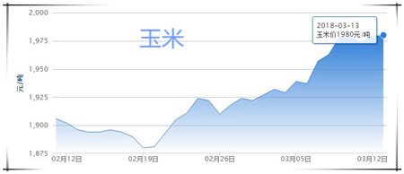  　　03月13日猪评：猪价再次跌破警戒线，政府收储成最后救命稻草