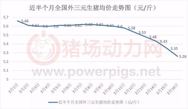 猪价亏得想退行?对此,养殖户们这么说……