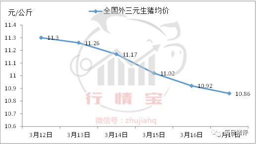 你是否已瞄上清明猪价?政府收储,猪友评论竟是……