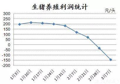 产能较低母猪淘汰加速!猪价低谷提前到来?