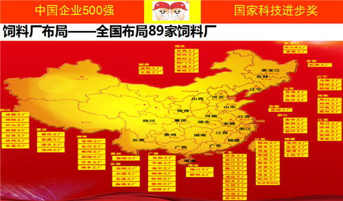 “英雄长啸震沧海，古树椰风动我怀”，行业内英雄齐聚于此，今年生猪行业形势严峻，猪价行情不容乐观，规模猪场如何突破行业发展瓶颈？如何将挑战转变为机遇？