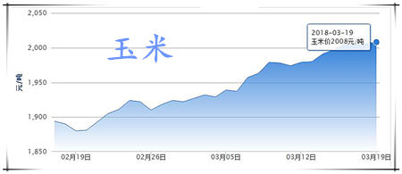 03月19日猪评：清明节消费对猪价支撑有限，切勿过度压栏