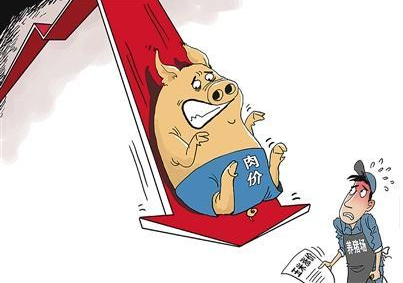 再遇“猪周期”,养殖行业面临洗牌……