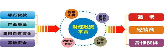 双胞胎集团李建宁：专业分工筑未来 平台共享得双赢