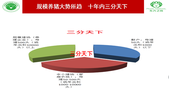 中国猪业高层交流论坛会长李俊柱