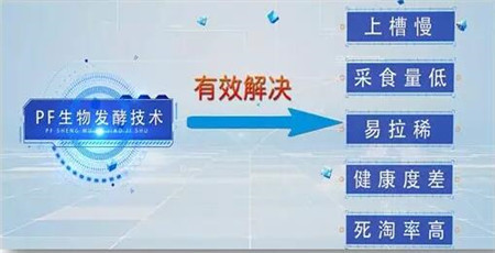 行业首创！双胞胎PF生物发酵料引领中国教保料发展新潮流