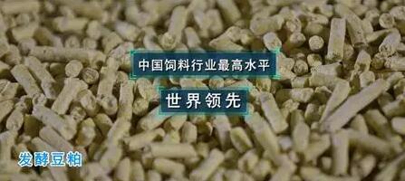 三胞胎【健康三宝】横空出世 为仔猪健康成长“保驾护航”