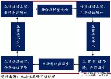 史上最丧心病狂猪周期分析!终于知道猪价什何时涨