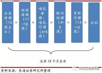 史上最丧心病狂猪周期分析!终于知道猪价什何时涨