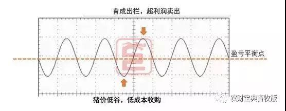 史上最丧心病狂猪周期分析!终于知道猪价什何时涨