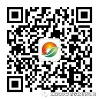 前后段落之间空行数:微牧莱斯