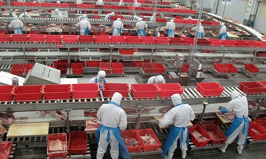 双汇发展20年来首次遭遇净利润同比下滑，给公司未来发展的持续性敲响了警钟。“白马股”双汇发展长期获得投资者青睐。不过，这家公司目前正陷入业绩增长停滞的境地。