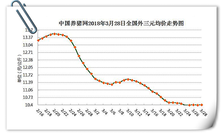 中国养猪网