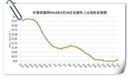 中国养猪网