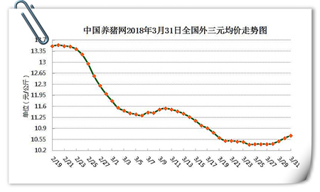 03月31日猪评：猪价连涨看似触底反弹，真的是一波炒作？