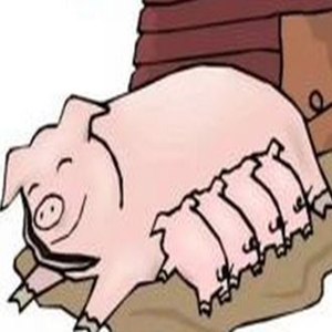 2018年全国将近100个畜牧大县有环保补贴，养殖户如何顺势而为？