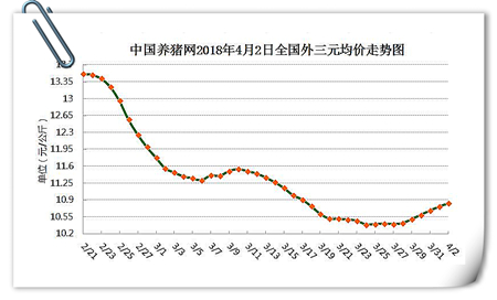 中国养猪网