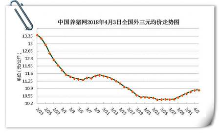 中国养猪网