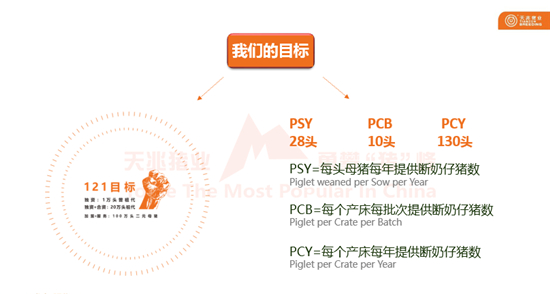 中国养猪业发展至今,成本管控已成为了规模化猪场存亡的关键。就养猪总成本而言,影响其高低的因素无外乎是内部外部两个方面。