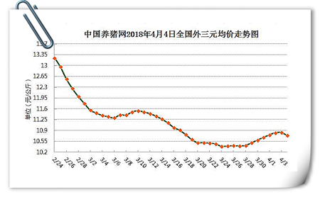 中国养猪网