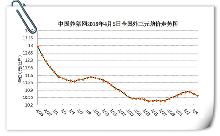 中国养猪网